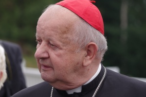kardynał stanisław dziwisz